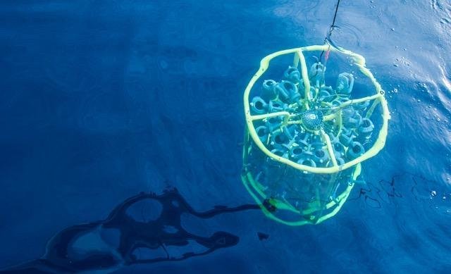 Samples of SAR11 being pulled up from ocean