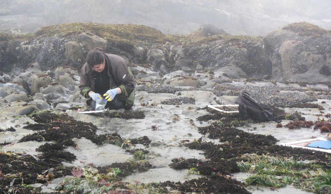 Lily Miksell doing field research