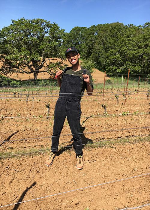 OSU Zoology senior volunteering in vineyard
