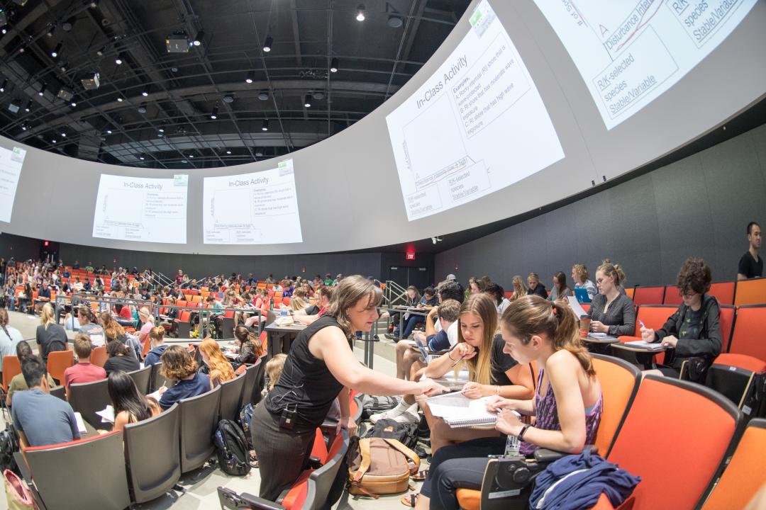 Students learn in a huge classroom. 