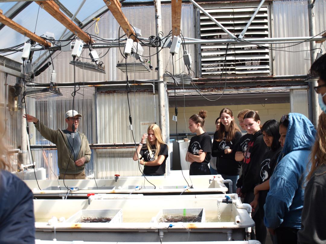 High-school students stand around tanks at Hatfield Marine Center.
