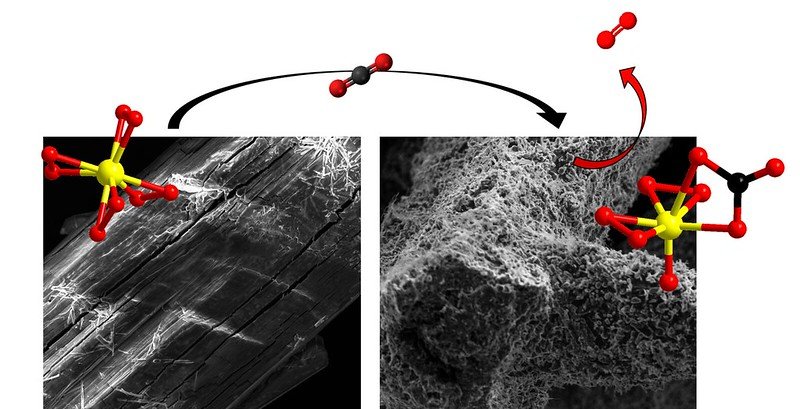 Scanning electron microscope images of the carbon capture titanium molecules before (left) and after (right) exposure to air. The molecules release oxygen gas upon capture of carbon dioxide, creating a spongelike substance that enables reactivity throughout the crystals, not just on the surface. Image provided by May Nyman and Karlie Bach, OSU College of Science.