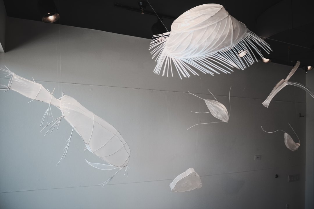 Paper artwork of fish parasite displayed on the ceiling. 