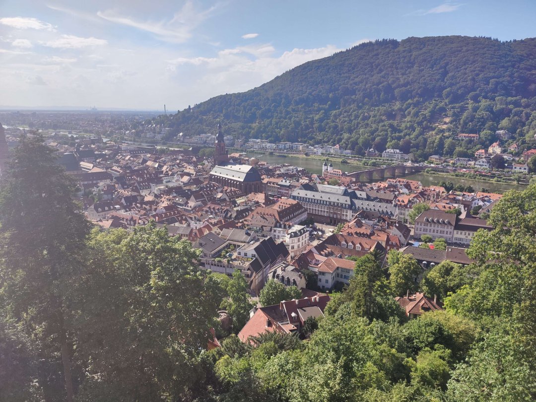 Lush trees surround German architecture beneath clear blue skies.