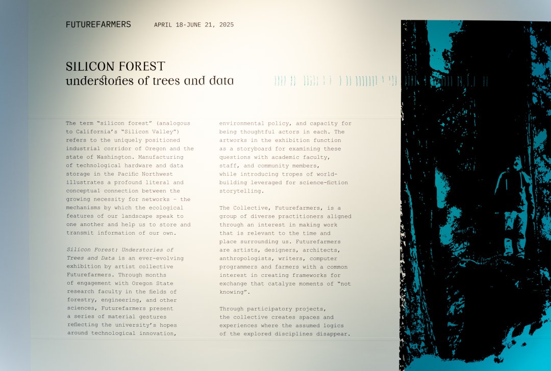 Artists' statement in front of Silicon Forest exhibit
