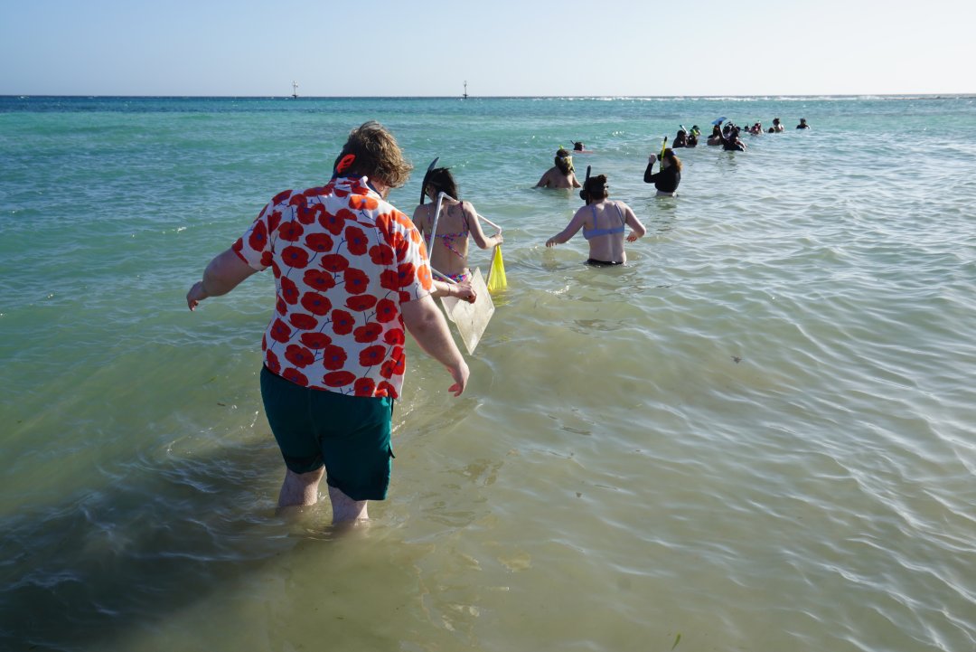 A line of people walk into the water.
