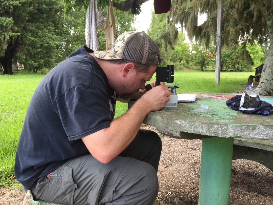 using a field inverted microscope to determine the developmental stage of killifish embryos that we dug out of the mud in some killifish ponds in Uruguay.