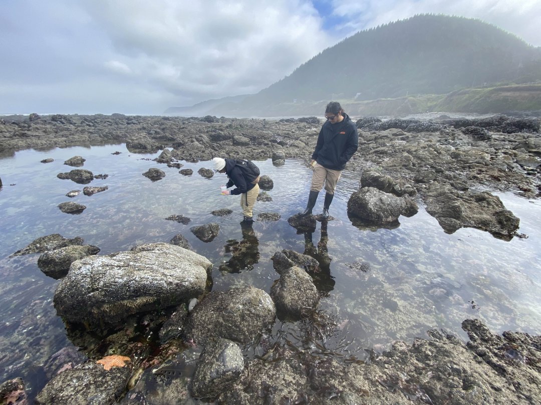 Two individuals stand on a beach looking at rocks in the water.