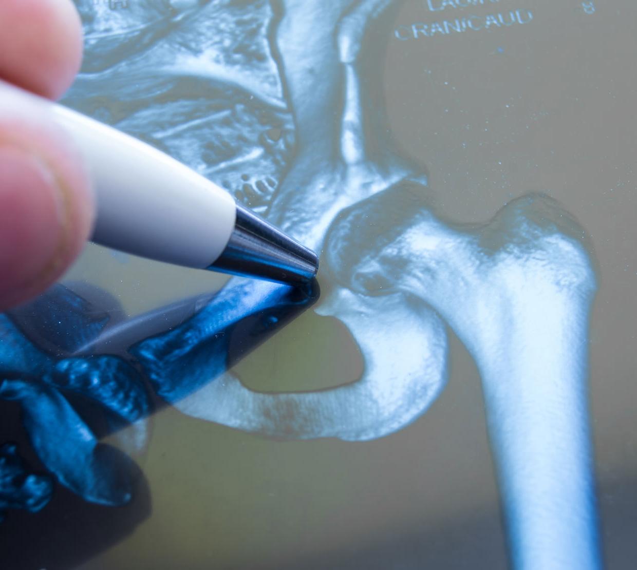 Tablet showing human anatomy research