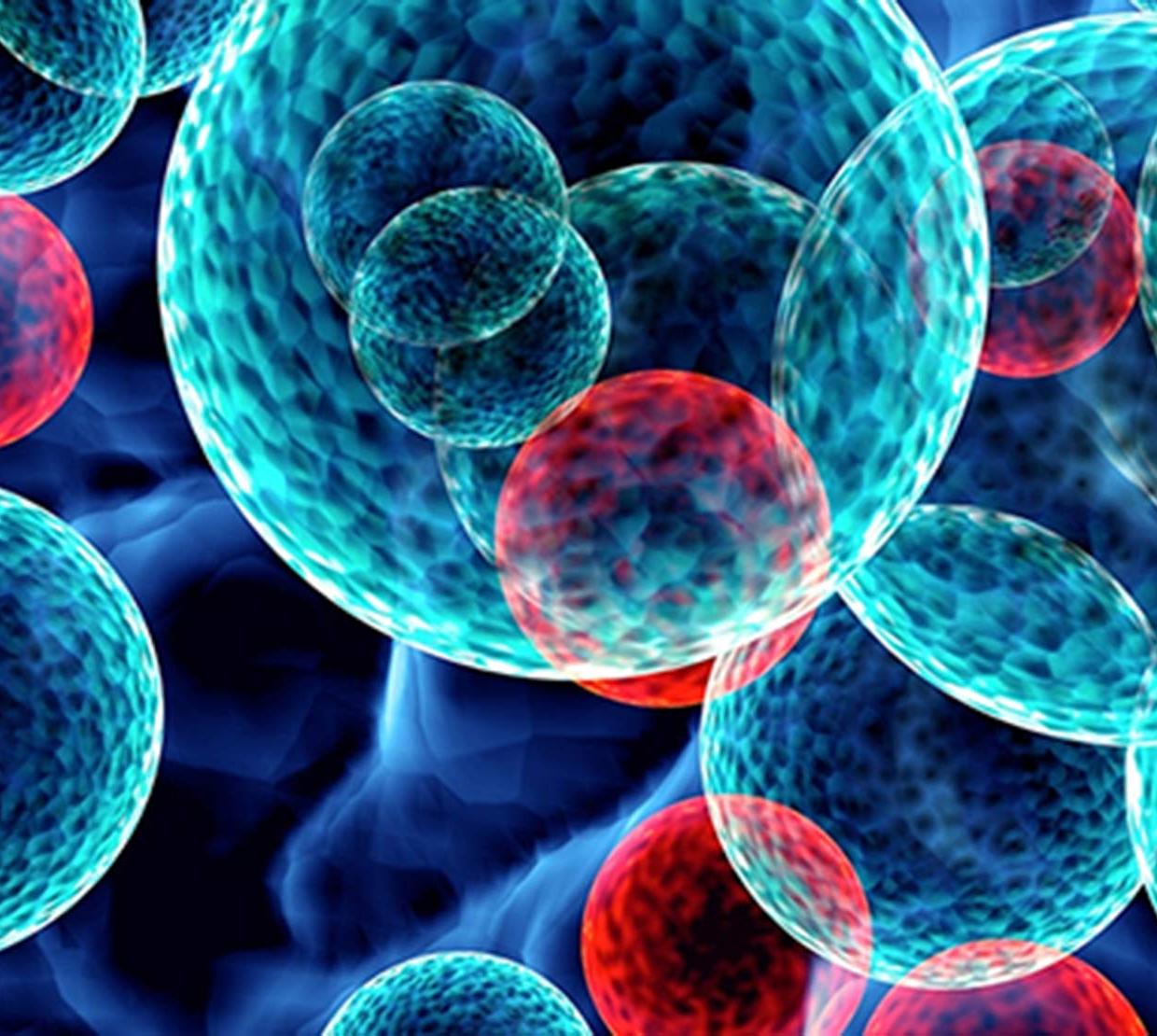 3D model of iron compound