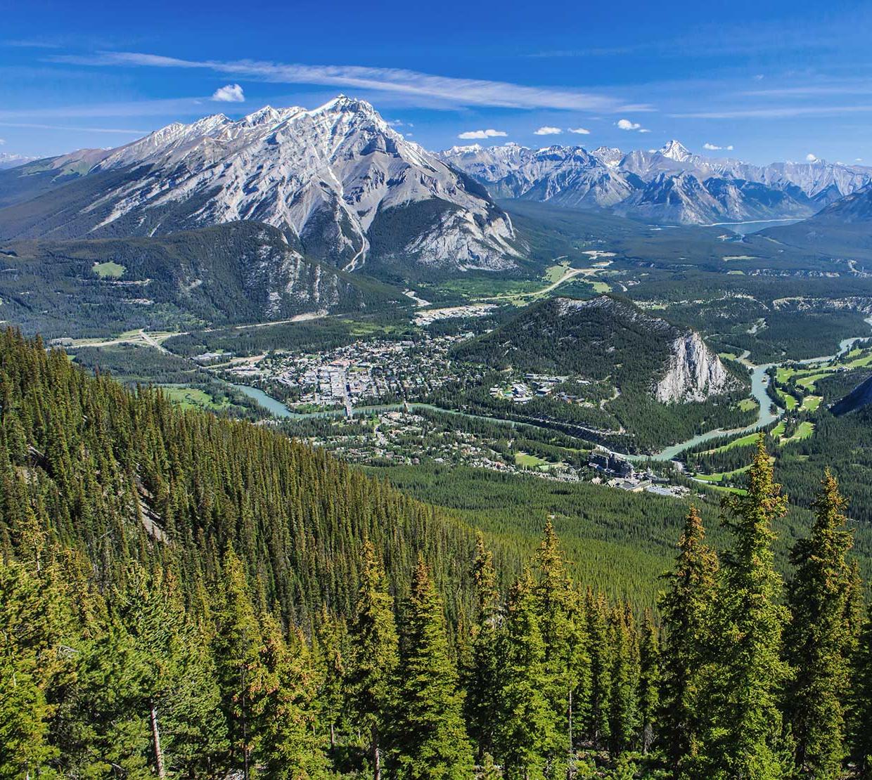 arial view of mountain range and deep forests