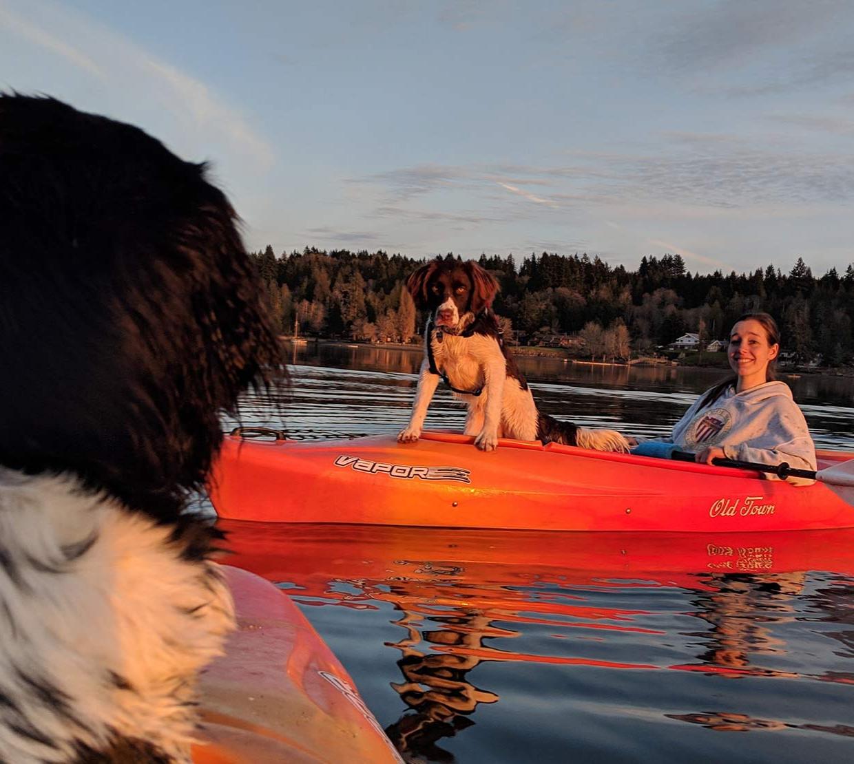 Brittany Lasher in a kayak on a river with dogs.