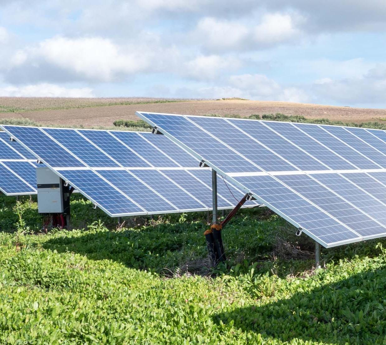 Rows of solar panels facing upwards on a sunny day.