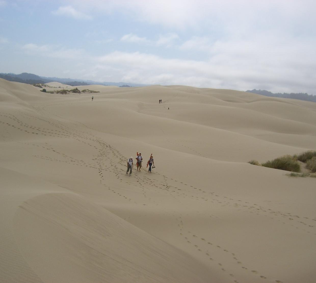 Three individuals walking through sand dunes, leaving footprints in their wake.