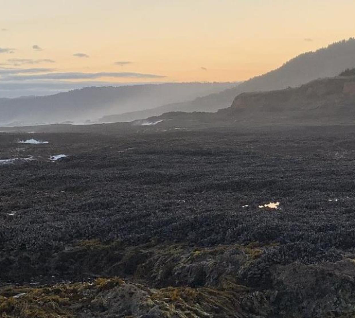 Dark, rocky shores stretch to the ocean against a hazy sunrise, waves lapping against the rocks.