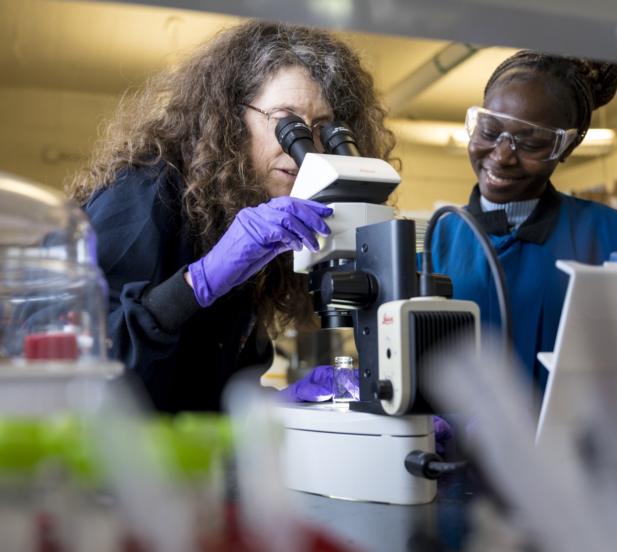 Two women in a laboratory look at a microscope.