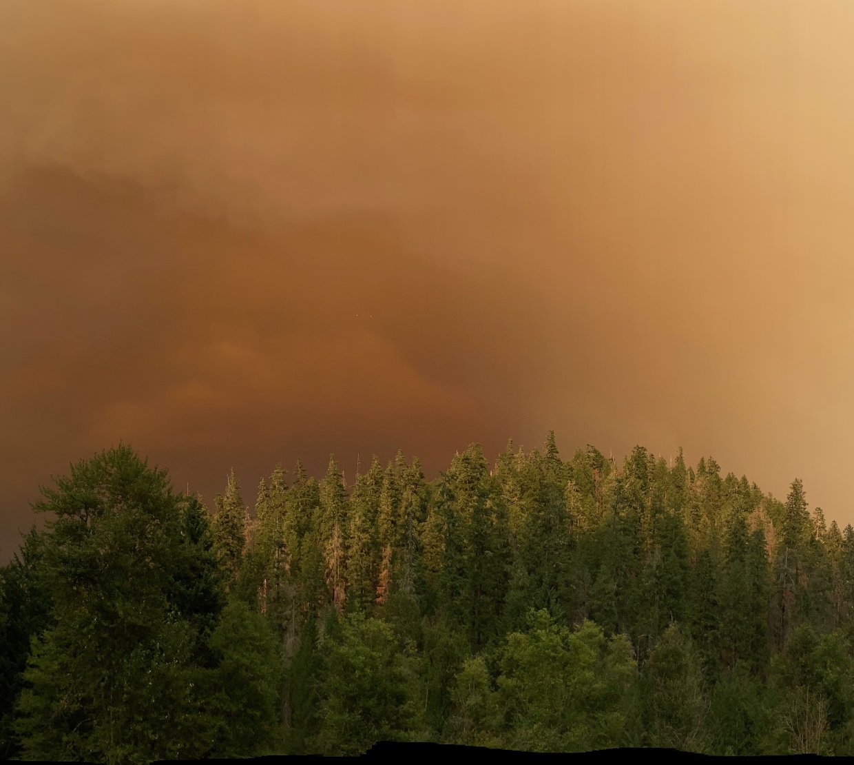 Oregon Wildfire Smoke