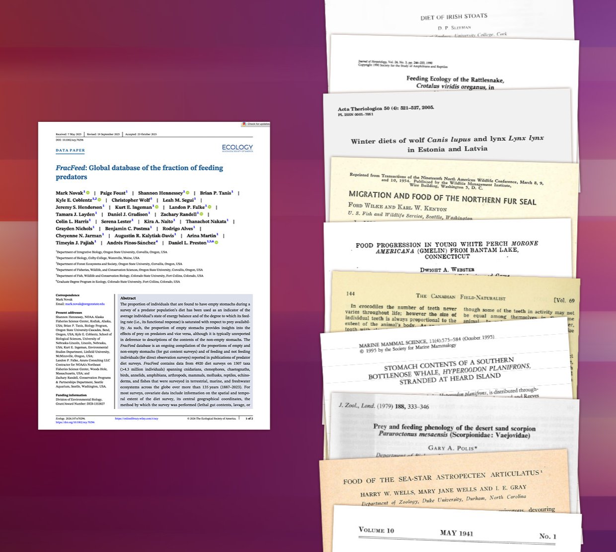 An illustration showing a single research article compared to a large stack of research articles