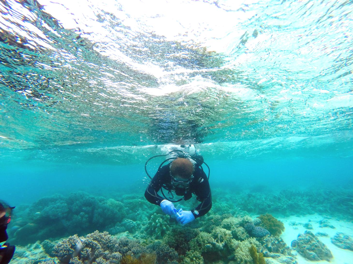 Microbiology student scuba diving for samples