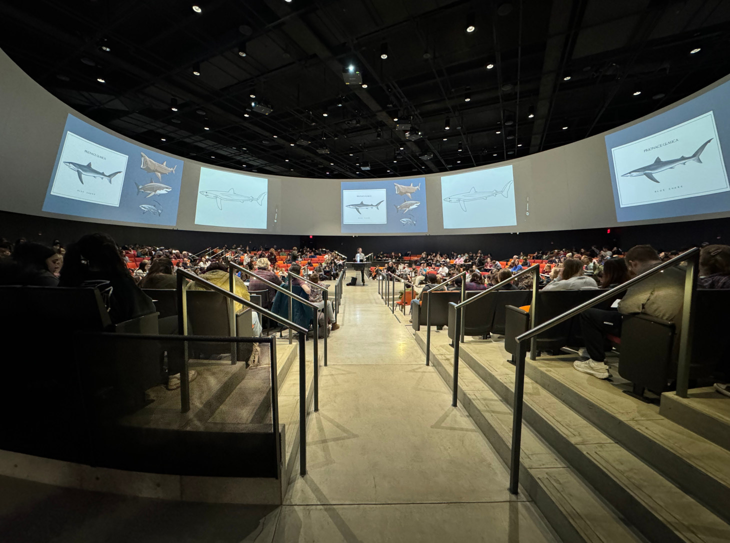 A wide camera shot of the audience in a big circle room at Finside Out. With drawings of a blue shark on the oval screens, Natalie Donato stands at the center of the stage while teaching.