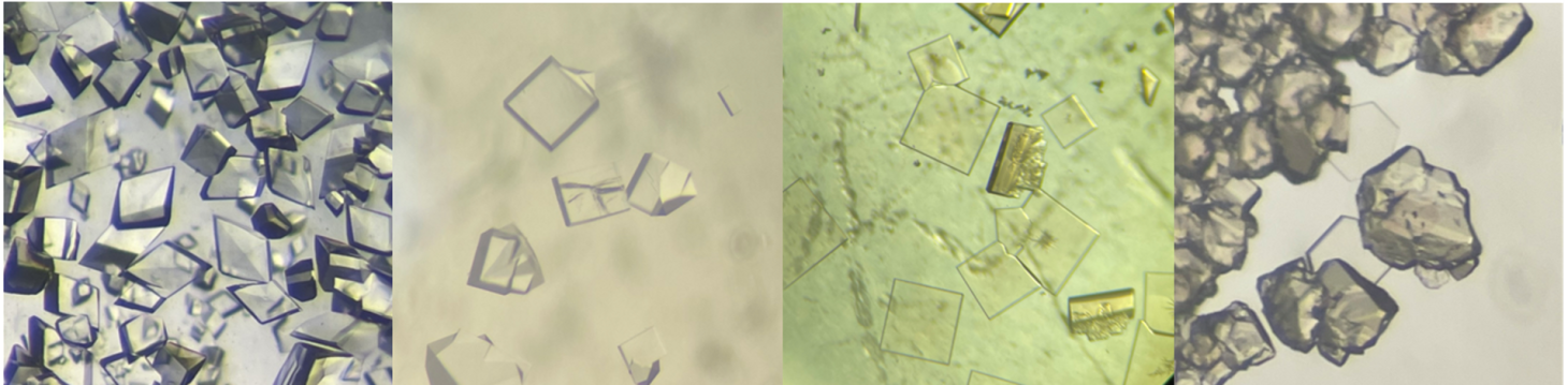 Different shapes of the crystals in the precipitates.