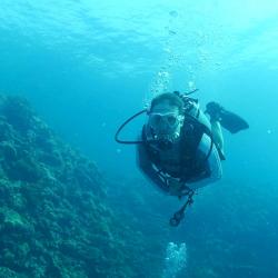 Scuba diver in reef