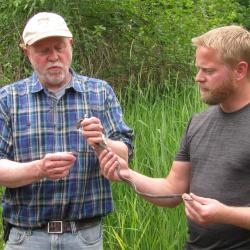 Robert Mason holding garter snake with colleague in field