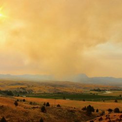 Sweeping valley hills are blanketed by orange vegetation, which is reflected in the pale orange sky above.