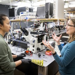 Two women work in a laboratory. 