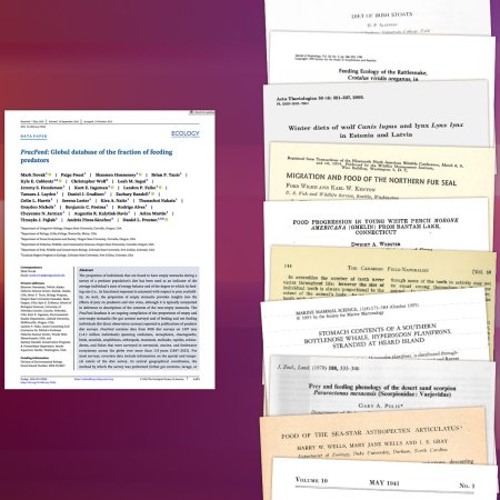 An illustration showing a single research article compared to a large stack of research articles