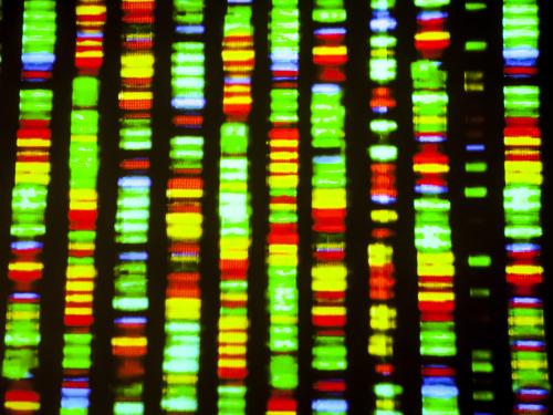 RNA and protein DNA sequencing.