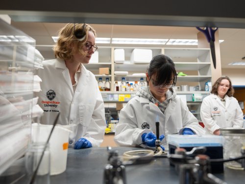 A faculty member in a lab coat oversees two undergraduate researchers. All are women. The photo is taken throug the bench in the lab.