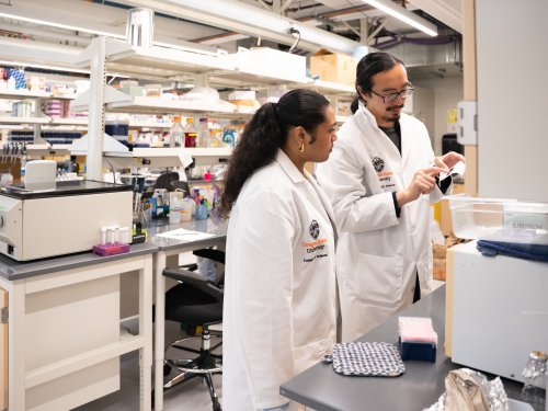 A student in a lab coat stands in a lab, looking at some data in the hands of her mentor. She has brown skin and long, dark curly hair that's tied in a ponytail. Her mentor has long, dark hair that is also tied in a low ponytail. He wears black rimmed glasses and a lab coat.