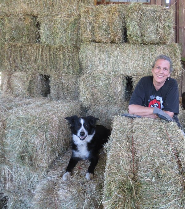 Meg, Abby, & hay