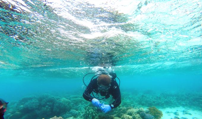 Microbiology student scuba diving for samples