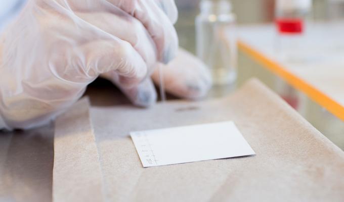 closeup on gloved scientist dropping samples in lab
