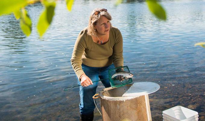 Jerri Bartholomew gathering samples from river