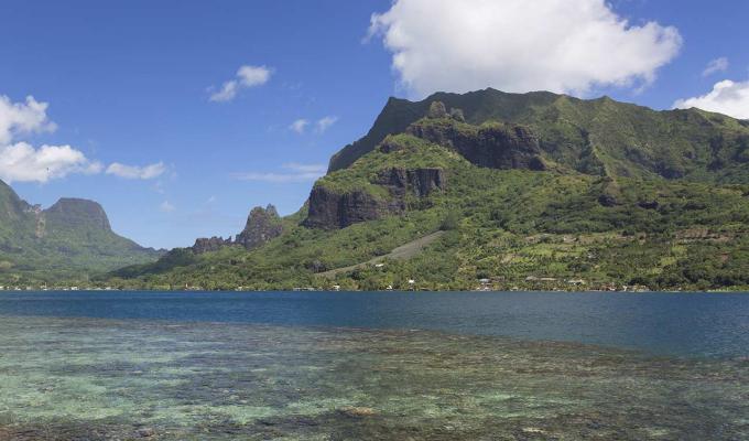 murky bay in front of mountain range