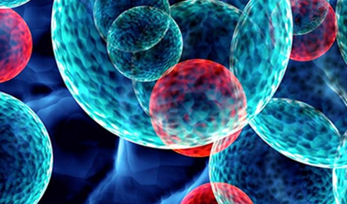 3D model of iron compound