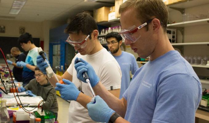 Students working in chemistry lab