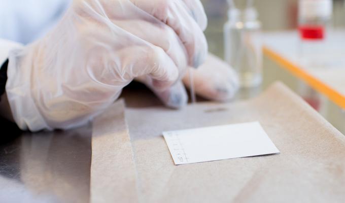 closeup on gloved scientist dropping samples in lab