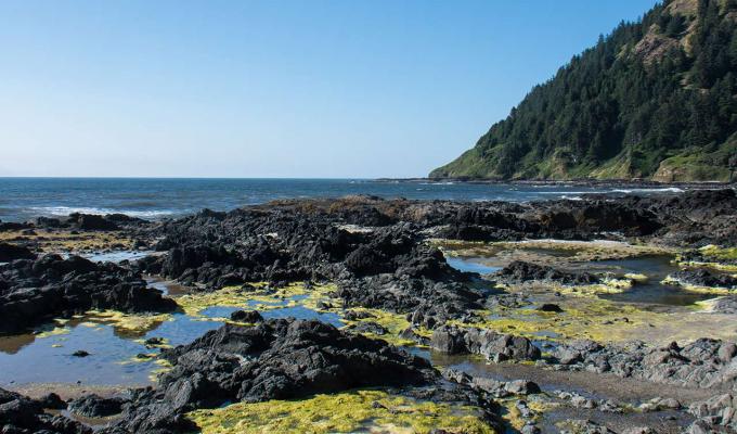 tide pools along ocean shore