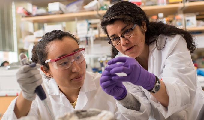Viviana Perez analyzing samples with student in lab