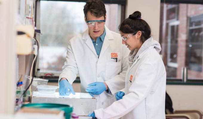 Sonia Grutzius working with Ryan Mehl in the lab.