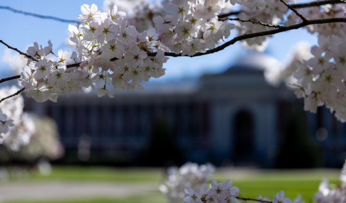 Image of Oregon State University Corvallis campus in spring.