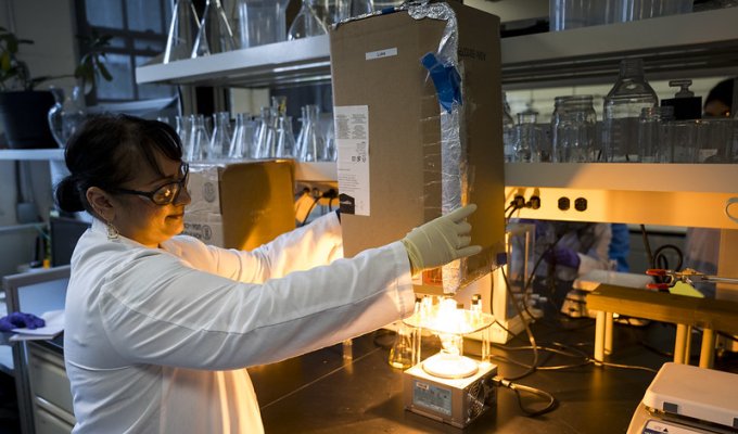 Oregon State University materials scientist Marilyn Rampersad Mackiewicz studies silver nanoparticles in a lab