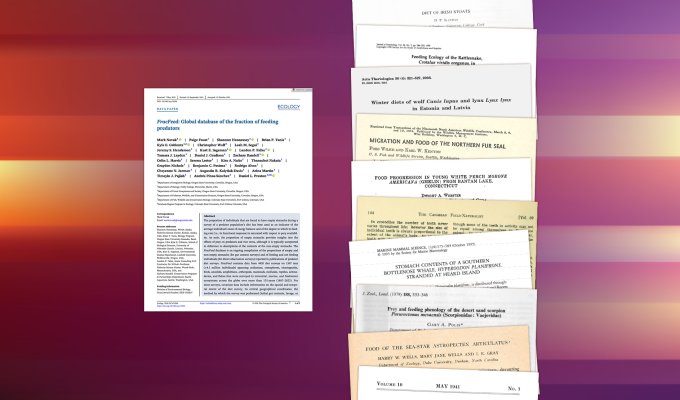 An illustration showing a single research article compared to a large stack of research articles