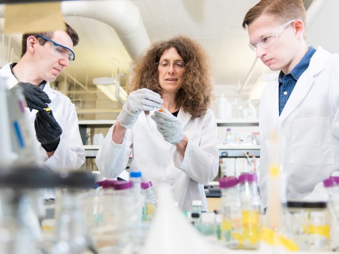 May Nyman mentoring two students in lab