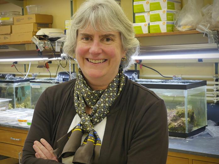 Virginia Weis standing in lab