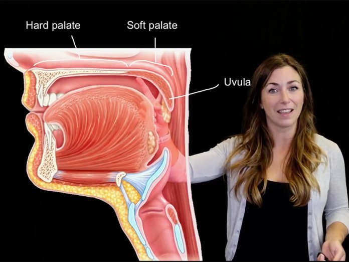 Staci Bronson demonstrates the anatomy of the mouth in online course materials
